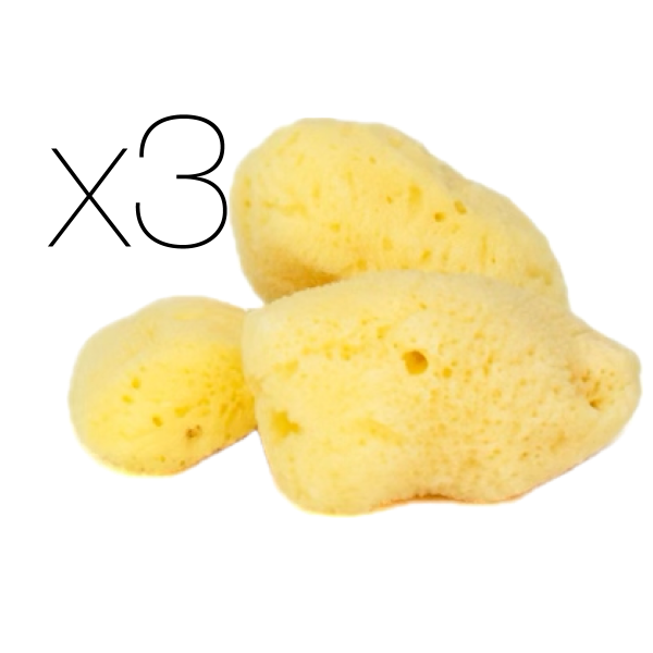 IntimateCare Sponges - 3x 5.5-6.5cm Bleached - Minimalist Packaging