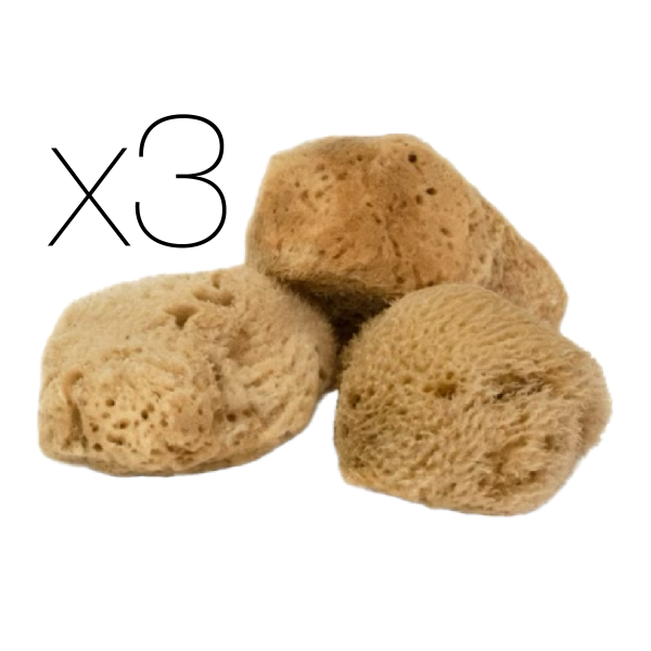 IntimateCare Sponges - 3x 5.5-6.5cm Unbleached - Minimalist Packaging